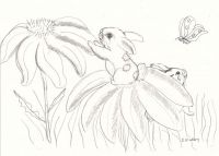Bunny Frolic